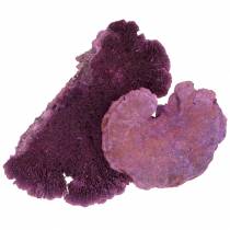 Tree sponge purple white washed 1kg
