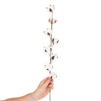 Product Artificial cotton branch with 8 real flowers, 78cm