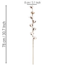 Product Artificial cotton branch with 8 real flowers, 78cm