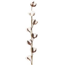 Product Artificial cotton branch with 8 real flowers, 78cm