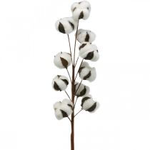Cotton branch natural decoration 10 heads on a wire cotton decoration 68cm