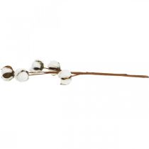 Product Cotton Branch Decoration Real Cotton Decorative Branch 5 Heads 50cm