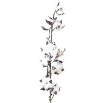 Product Cotton branch cotton flowers artificial brown white L95cm