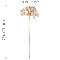 Product **Artificial Champagne-Coloured Berry Stems Set of 3 for Decoration 28cm**
```html
<h2>Decorative Artificial Champagne-Coloured Berry Stems</h2>
<p>These artificial berry stems in champagne colour are a versatile and stylish addition to your seasonal ho
