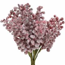 Berry pick red, iced 21cm 12p