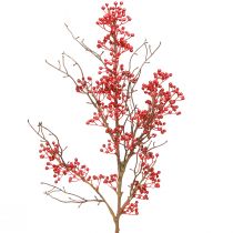 Product Berry branch red berries branch decoration autumn winter L78cm