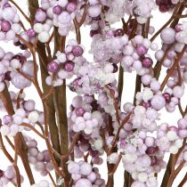 Product Berry branch Christmas branch purple white frost L60cm 2 pcs