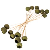 Product Bell Cup on Stick Green Dried Exotic 5-7cm 15pcs