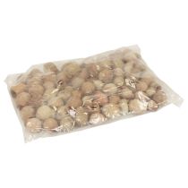 Product Bellgum Bell Fruit Capsule Fruit Natural Decoration Brown 500g