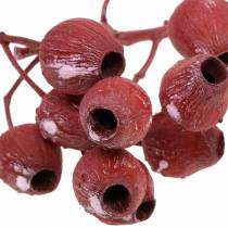 Bellgum branch 5cm - 7cm red frosted 20pcs