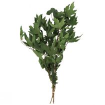 Product Sycamore branches leaves decoration maple leaves green 50-60cm 100g