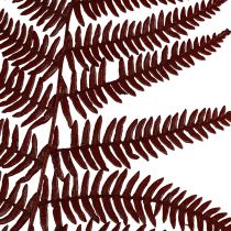 Product Fern decorative mountain fern dried leaves wine red 50cm 20pcs