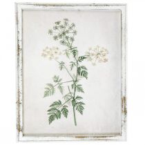 Vintage wall decoration, picture with frame wood dried plant 40×50cm