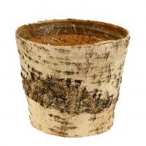 Birch pot Ø15cm H13cm