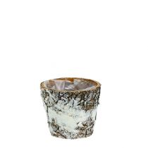 Birch pot mini white plant pot Ø7cm H7cm 10pcs