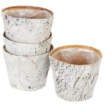 Product Birch pot, medium size, plant pot, birch, white, Ø12cm, H10.5cm, 4 pieces