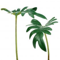 Product Philodendron leaf 31cm green 12pcs