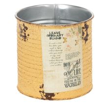 Product Tin can decorative can Apricot metal plant pot Ø11cm H10.5cm