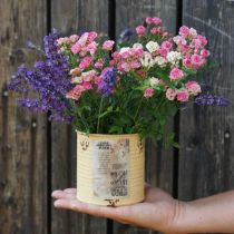 Product Tin can decorative can Apricot metal plant pot Ø11cm H10.5cm