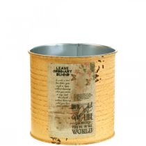 Product Tin can decoration apricot metal plant pot Ø11cm H10.5cm