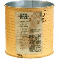 Product Tin can decoration apricot metal plant pot Ø11cm H10.5cm