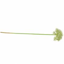 Product Allium artificial white 55cm