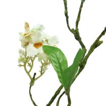 Flowering branch White L 65cm 1pc