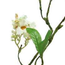 Product Flowering branch white L 65cm 1 piece Artificial plant like real!