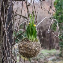 Blumenampel Heu Natur Plant basket for hanging Hanging pot Ø20cm
