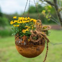 Hanging basket metal decoration rust hanging decoration Ø20cm H16cm