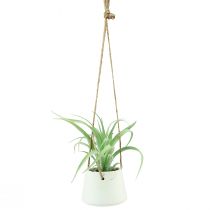 Product Hanging baskets succulents artificial green assorted 18cm 3pcs