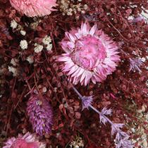 Product Dried Flower Wreath Burgundy Pink Ø25cm