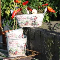 Product Flower pot small metal colored Fresh Garden H16cm 2pcs