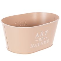 Product Oval zinc flower bowl, antique rose, planter, 27×18cm, H12.5cm