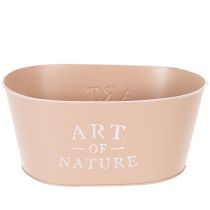 Product Oval zinc flower bowl, antique rose, planter, 27×18cm, H12.5cm