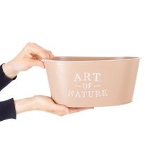 Product Oval zinc flower bowl, antique rose, planter, 27×18cm, H12.5cm