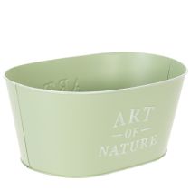 Product Flower bowl oval zinc mint green 27×18cm H12.5cm