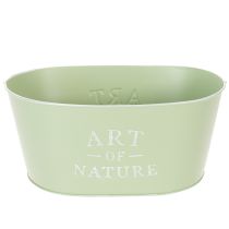 Product Flower bowl oval zinc mint green 27×18cm H12.5cm