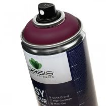 OASIS® Easy Color Spray, paint spray Erika 400ml