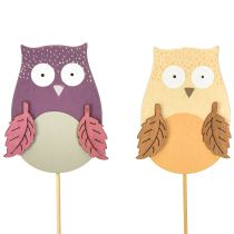 Product Flower plug deco owl wood purple, brown 8cm 12pcs