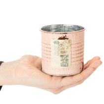 Product Flower pot decorative can salmon metal herb can Ø8cm H7.5cm