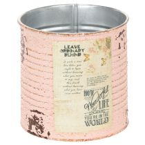 Product Flower pot decorative can salmon metal summer decoration Ø11cm H10.5cm