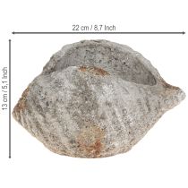 Product Flowerpot shell stone antique grey maritime 22×18×13cm