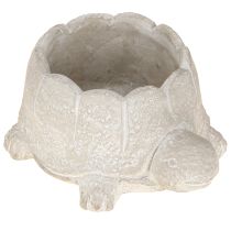 Product Flowerpot turtle concrete decoration grey white 15.5cm 2pcs