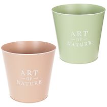 Product ProductName  
Set of 2 Pastel Metal Plant Pots – 22cm, Green and Pink  

/ProductName  
ProductDescription  

<h2>Versatile Pastel Metal Plant Pots for Home Decoration</h2>  

<p>Add a touch of charm to your indoor or covered outdoor space with this set o