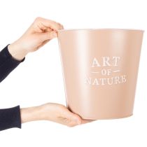 Product Art of Nature Round Decorative Plant Pots Pastel Green and Pink 22cm Set of 2