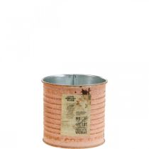 Product Flower pot decorative tin salmon metal herb tin Ø8cm H7.5cm