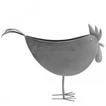 Product Flower pot chicken metal bird zinc metal decoration 51×16×37cm