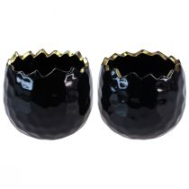 Flower Pot Ceramic Egg Black Plant Pot Black Ø12cm 2pcs