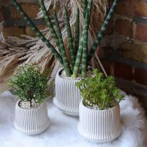Flower pot ceramic planter with grooves white Ø14.5cm H12.5cm